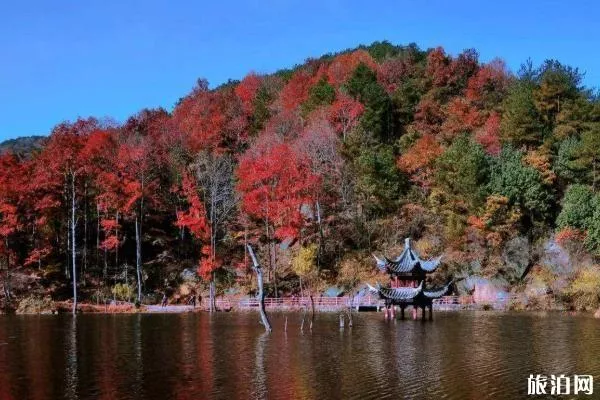 武汉八分山好玩吗 八分山要门票吗 武汉八分山好玩吗 八分山要门票吗