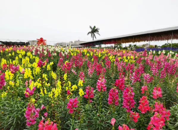 2021东莞教师节优惠活动汇总