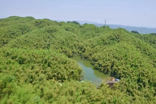 乐山大佛 乐山旅游攻略 乐山大佛 乐山旅游攻略