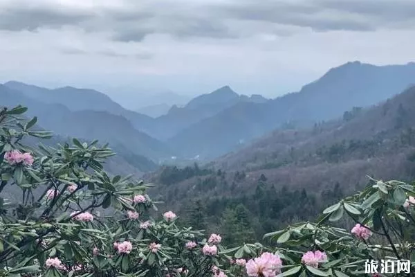 木王山国家森林公园门票多少钱 2020木王山半价优惠政策 木王山国家森林公园门票多少钱 2020木王山半价优惠政策