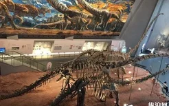 重庆自然博物馆预约多久可以参观 恢复开放了吗