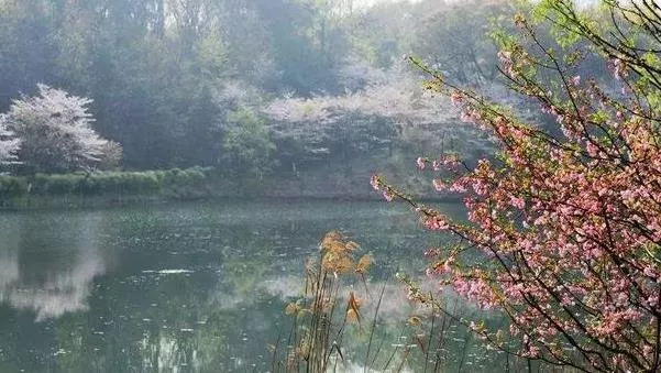 杭州小众景点 杭州小众好玩的地方推荐 杭州小众景点 杭州小众好玩的地方推荐