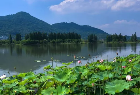2018年519中国旅游日杭州萧山区景点门票优惠 2018年519中国旅游日杭州萧山区景点门票优惠