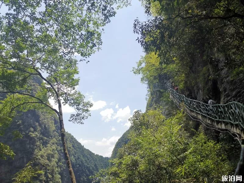 鹤峰屏山峡谷旅游攻略