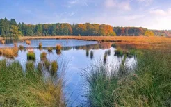 2022江西鄱阳湖湿地公园门票最新优惠政策一览