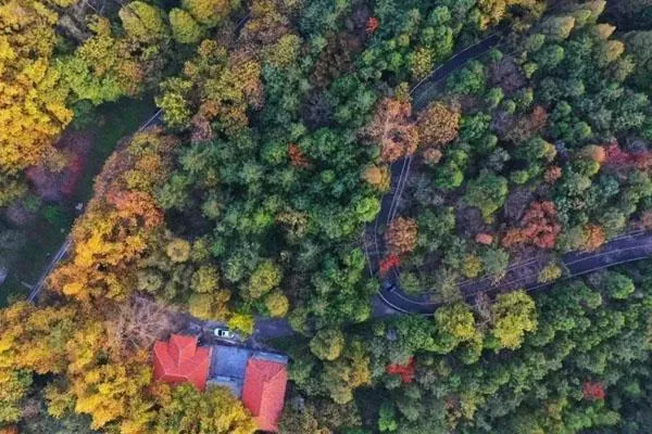 鸡公山风景区门票价格及优惠政策