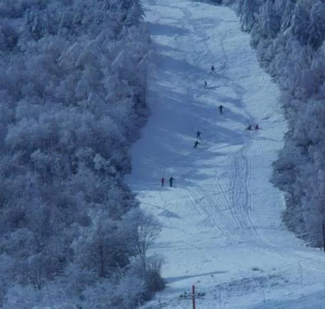 武汉去神龙架滑雪攻略2020 武汉去神龙架滑雪攻略2020