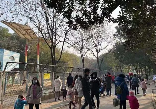 武汉动物园现在人多吗 武汉动物园游客多吗 武汉动物园现在人多吗 武汉动物园游客多吗