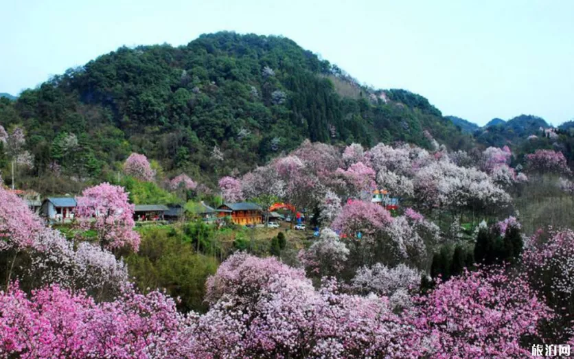 2019九皇山索道和缆车价格+门票+游玩攻略