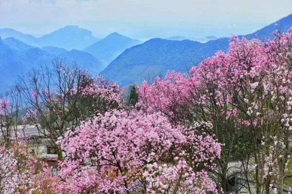 四川绵阳旅游必去十大景点推荐 最值得去的景点介绍