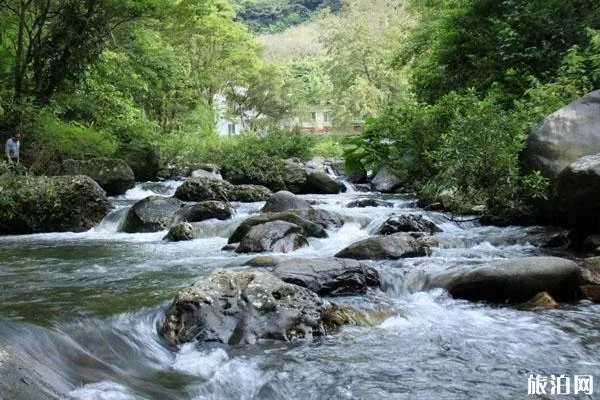 石门国家森林公园门票 新春活动8折优惠