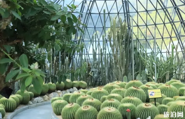2018年仙湖植物园可以开车进去吗 深圳仙湖植物园门票+拍照攻略 2018年仙湖植物园可以开车进去吗 深圳仙湖植物园门票+拍照攻略