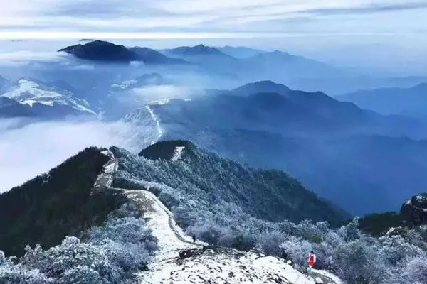 冬季上海周边旅游景点推荐