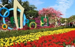 2020广州过年·花城看花活动时间 门票及活动亮点