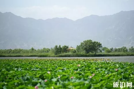 2019延庆野鸭湖国家湿地公园门票价格+优惠政策+开放时间+交通