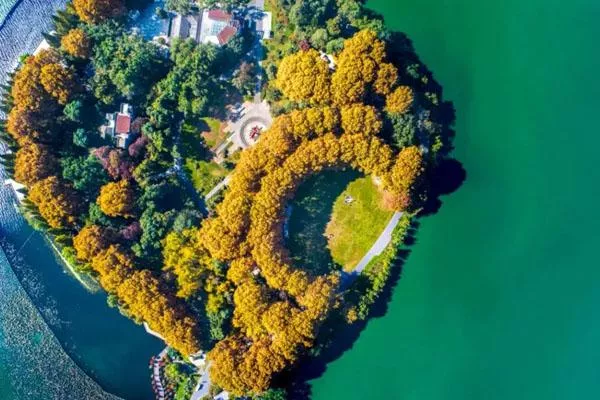 南京看水杉的地方 最美水杉林观赏地推荐