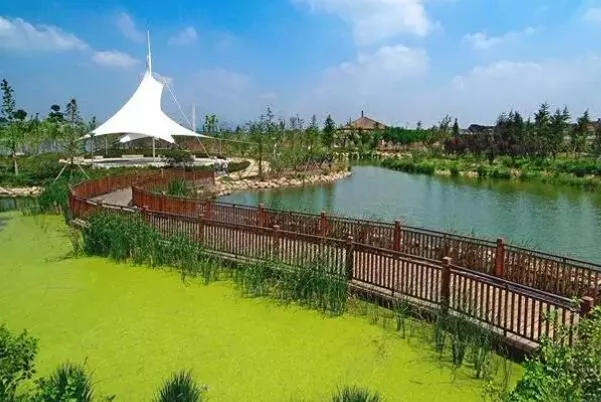 南京湿地公园有哪些好玩