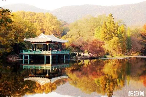 南京旅游住宿推荐，南京旅游住哪交通方便