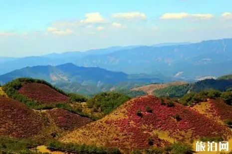 禄劝马鹿塘杜鹃花海怎么去 禄劝马鹿塘杜鹃花海门票+介绍