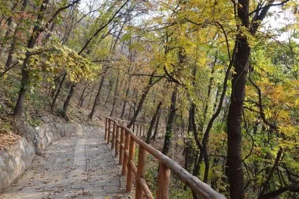 天桂山门票现在多少钱及优惠政策