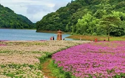 2021广州石门国家森林公园门票价格-优惠政策-预约指南