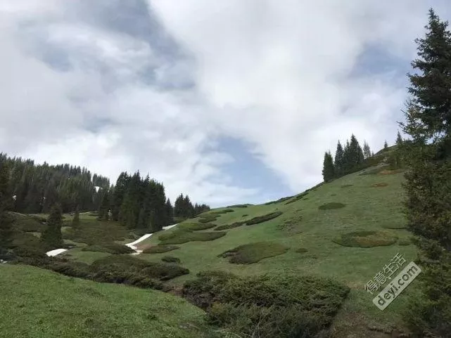 北疆旅游线路推荐2017 新疆北疆旅游攻略最新版2017 北疆旅游线路推荐2017 新疆北疆旅游攻略最新版2017
