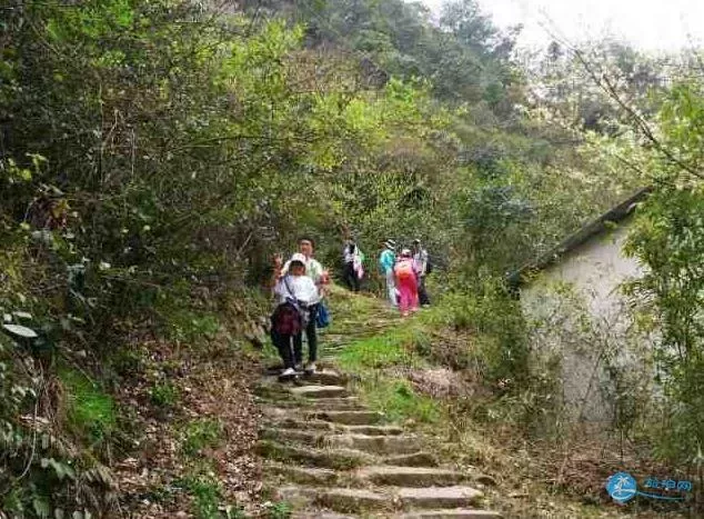 徽杭古道徒步攻略 徽杭古道徒步最佳路线 徽杭古道徒步攻略 徽杭古道徒步最佳路线