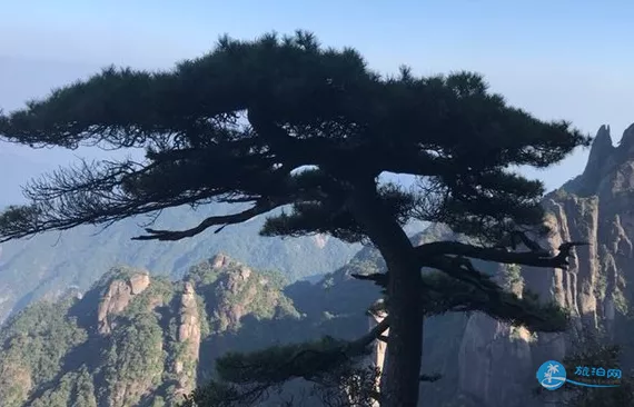 去三清山住哪里好 去三清山玩晚上住哪里 去三清山住哪里好 去三清山玩晚上住哪里