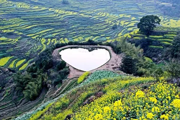 婺源油菜花旅游攻略 几月份最好