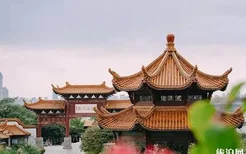 2020武汉哪些公园开放了