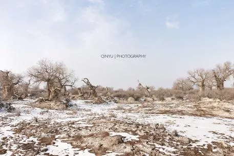 新疆有哪些旅游景点 新疆有什么好吃的 新疆有哪些旅游景点 新疆有什么好吃的