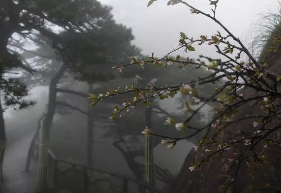 三清山旅游线路图 三清山旅游地图