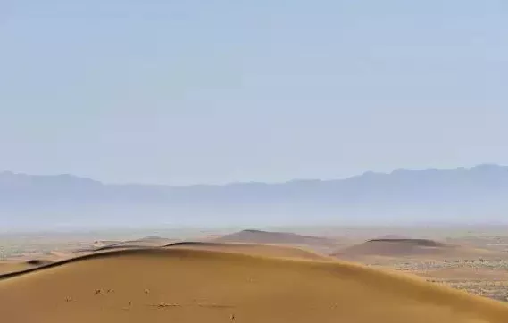 去哪里看胡杨林 去新疆看胡杨林攻略 去哪里看胡杨林 去新疆看胡杨林攻略