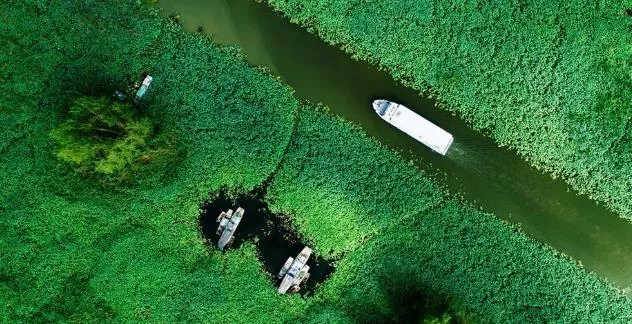 2021红荷湿地免费优惠政策 免费时间 2021红荷湿地免费优惠政策 免费时间