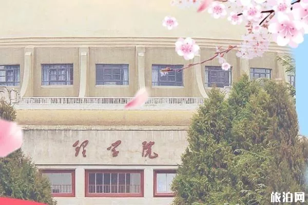 2022武大樱花观赏攻略 2022武大樱花观赏攻略