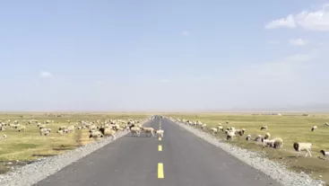 新疆自驾游攻略 新疆有什么旅游景点 新疆自驾游攻略 新疆有什么旅游景点