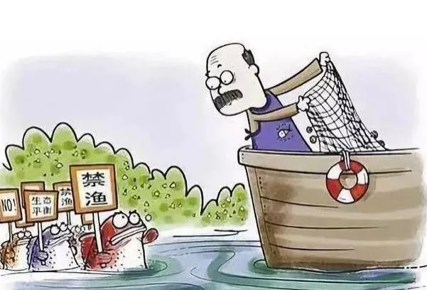 四川成都禁渔期规定2022年