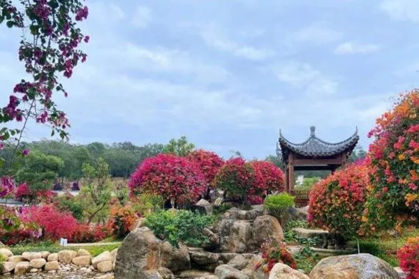 2022广州马岭观花植物园春节开放吗