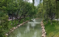 2021西安兴庆宫公园疫情好转之后什么时候恢复开放
