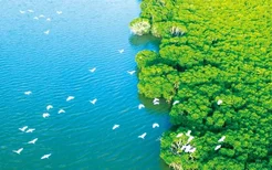 中国旅游日 | 海南海口亲子旅途，科普馆焕新颜一起探索“海上森林”