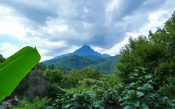 海南版“只此青绿”，你爱了吗？ 快来五指山打卡同款雨林风景吧！