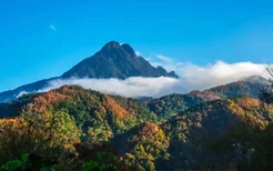 来海南感受五指山热带雨林之美？这3条旅游路线带你出发！