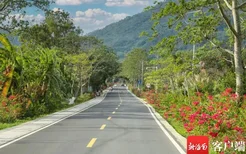 海南昌江这条公路获评海南“美丽农村路”，打卡走起