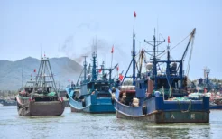 2023中国（南海）三亚开渔节今日开幕 采访团共赴开渔之约
