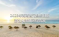 2023年海南省元旦假日旅游文化市场运行情况