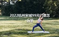 2022杭州宋城99元门票怎么买