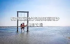 杭州亚运会沙滩排球赛用沙来自文昌