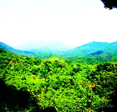 霸王岭国家森林公园
