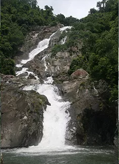 黎母山国家森林公园