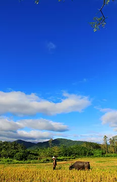 布隆赛乡村文化旅游区